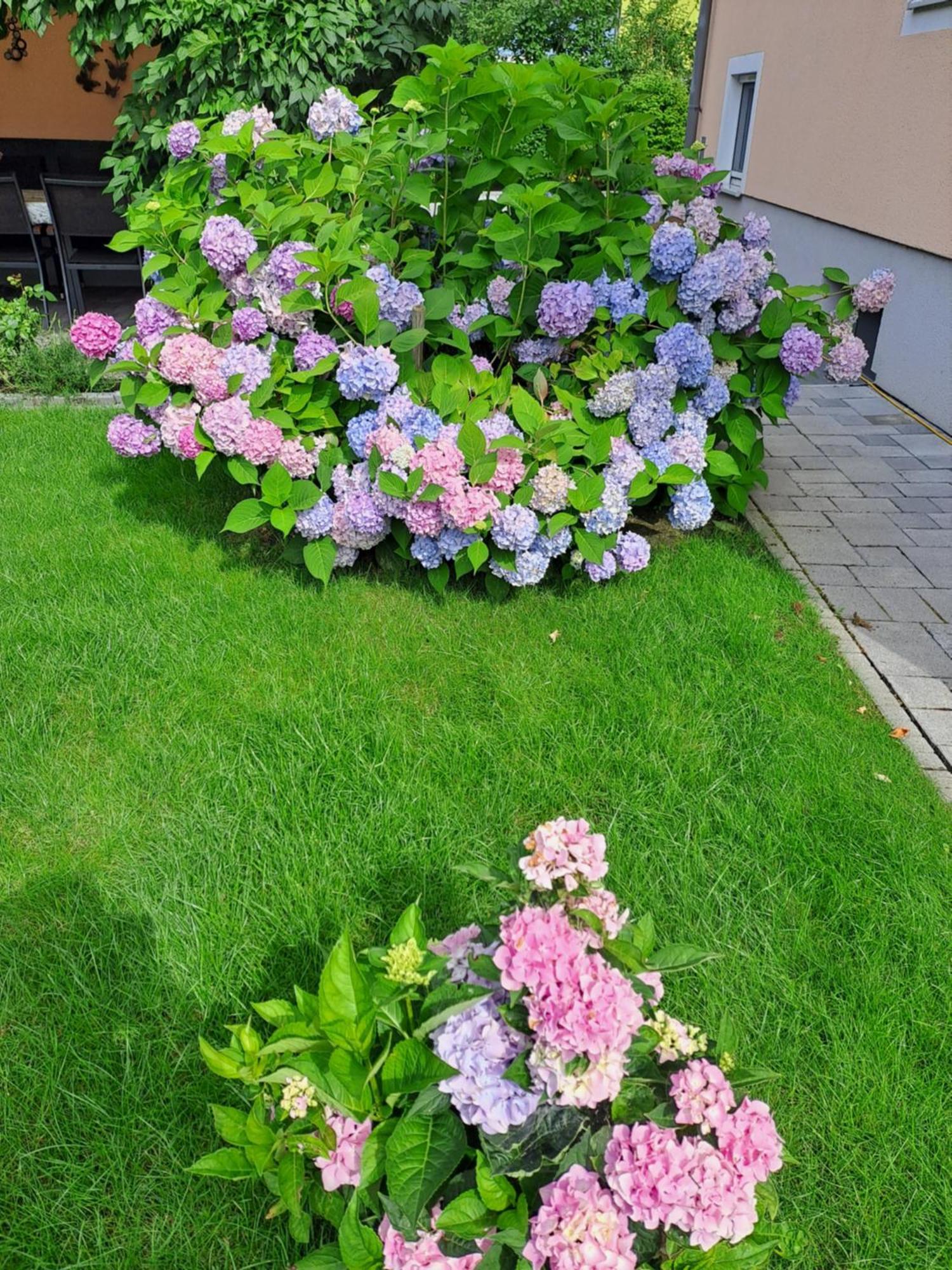 Ferienwohnung Brenner Брук ан дер Мур Екстериор снимка